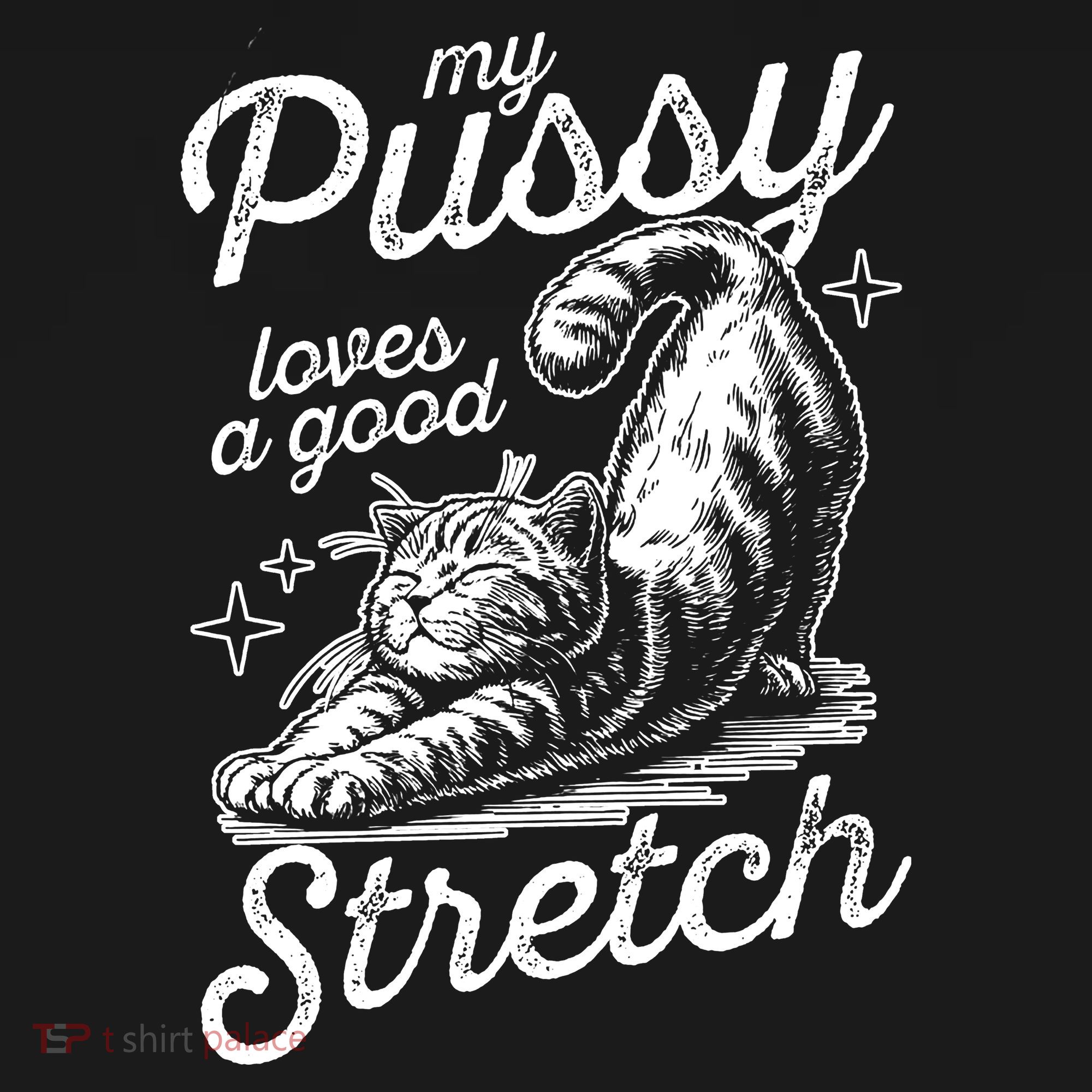 My Pussy Loves A Good Stretch Cat Women's T-Shirt