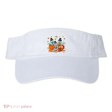 Visor
