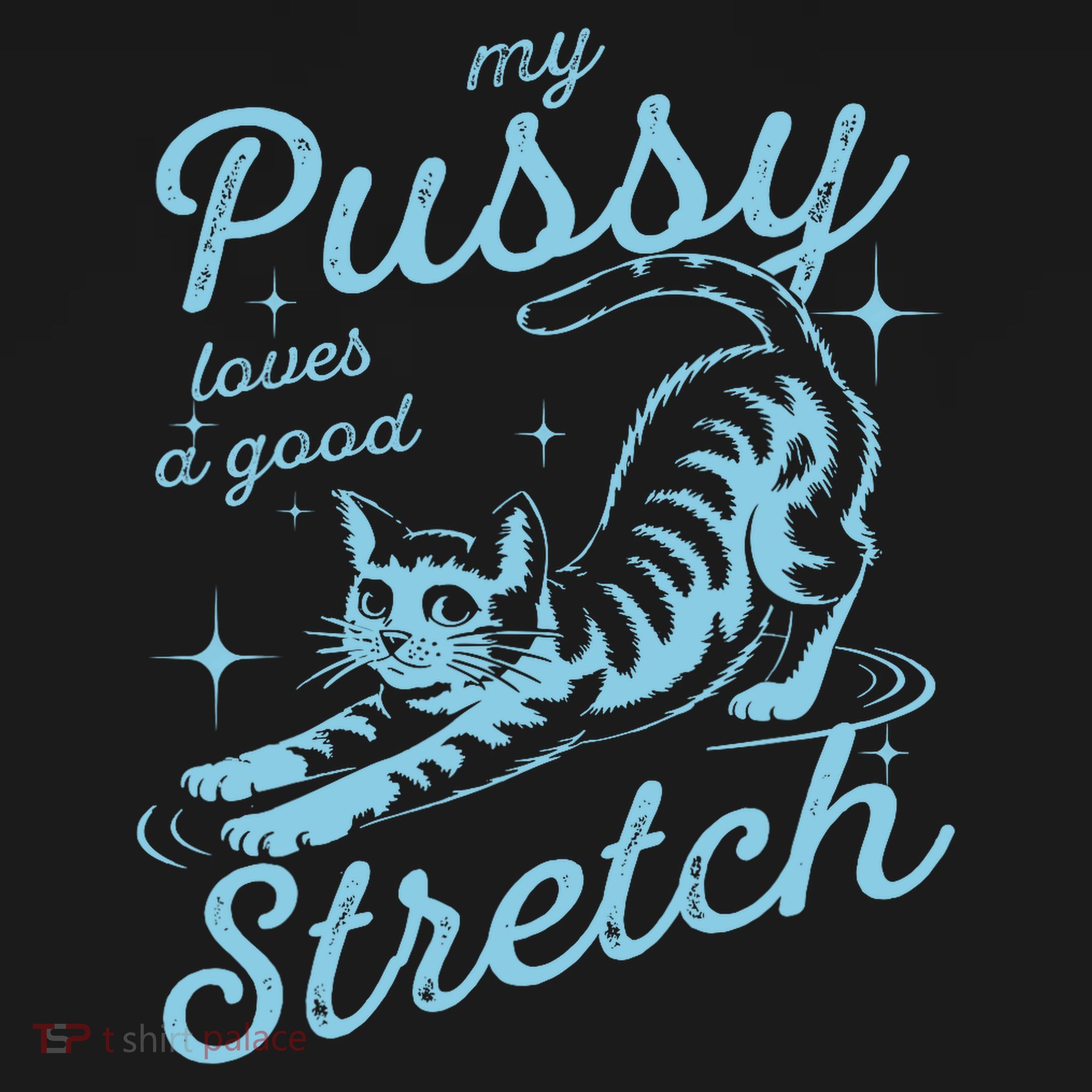 My Pussy Loves A Good Stretch Inappropriate Adult Humor Cat Women's Tank Top