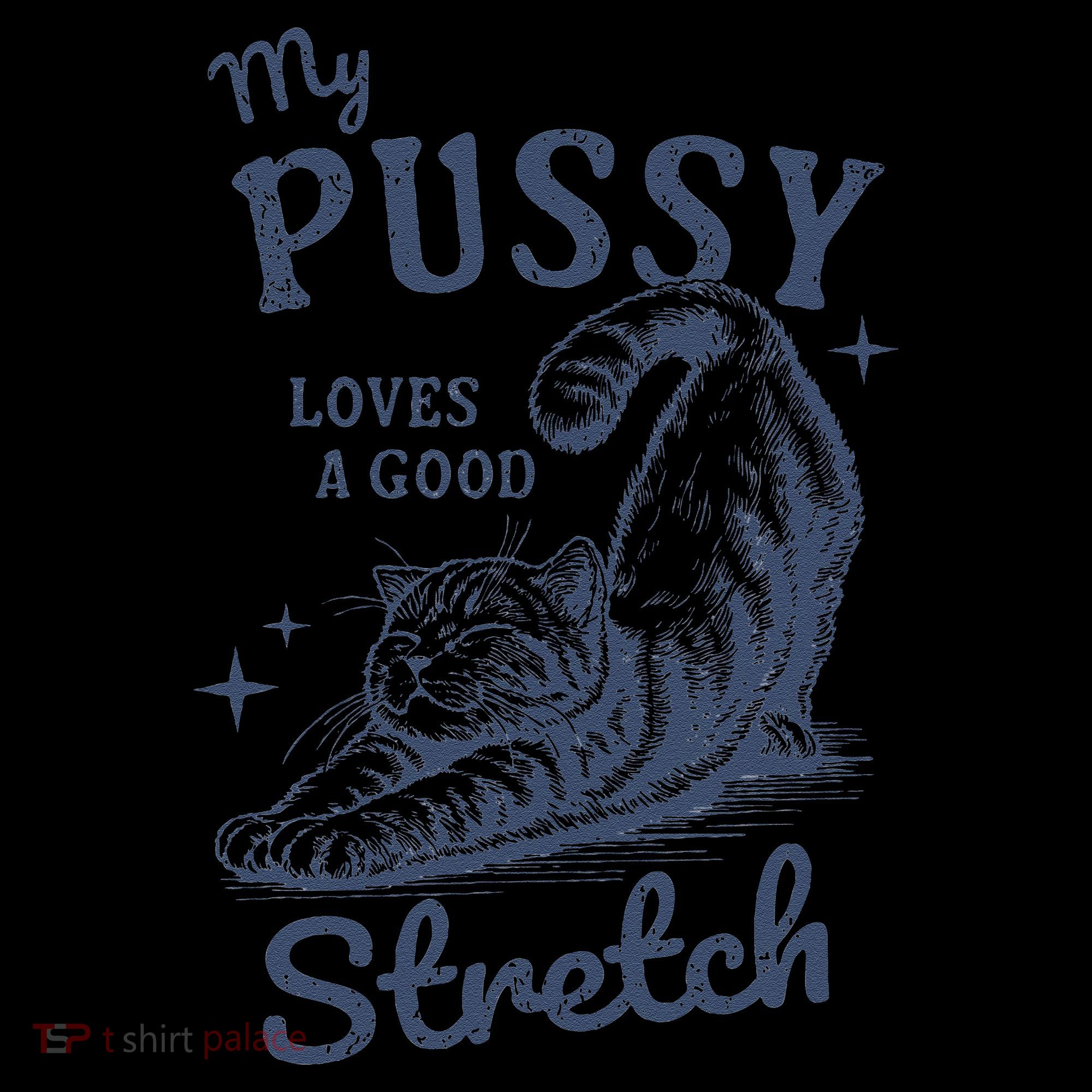 My Pussy Love A Good Stretch Funny Raunchy Cat Meme Women's Hoodie
