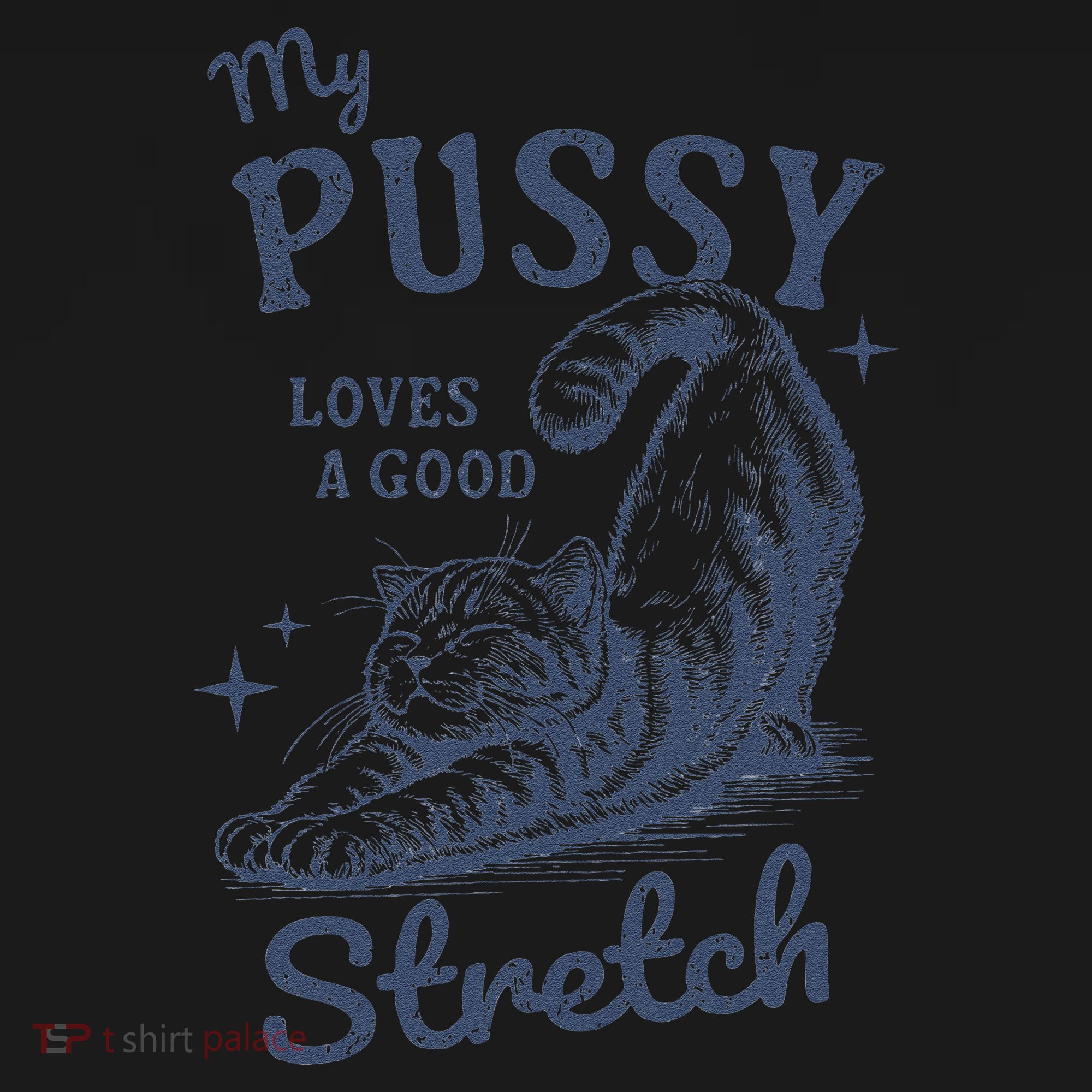 My Pussy Love A Good Stretch Funny Raunchy Cat Meme Women's Tank Top