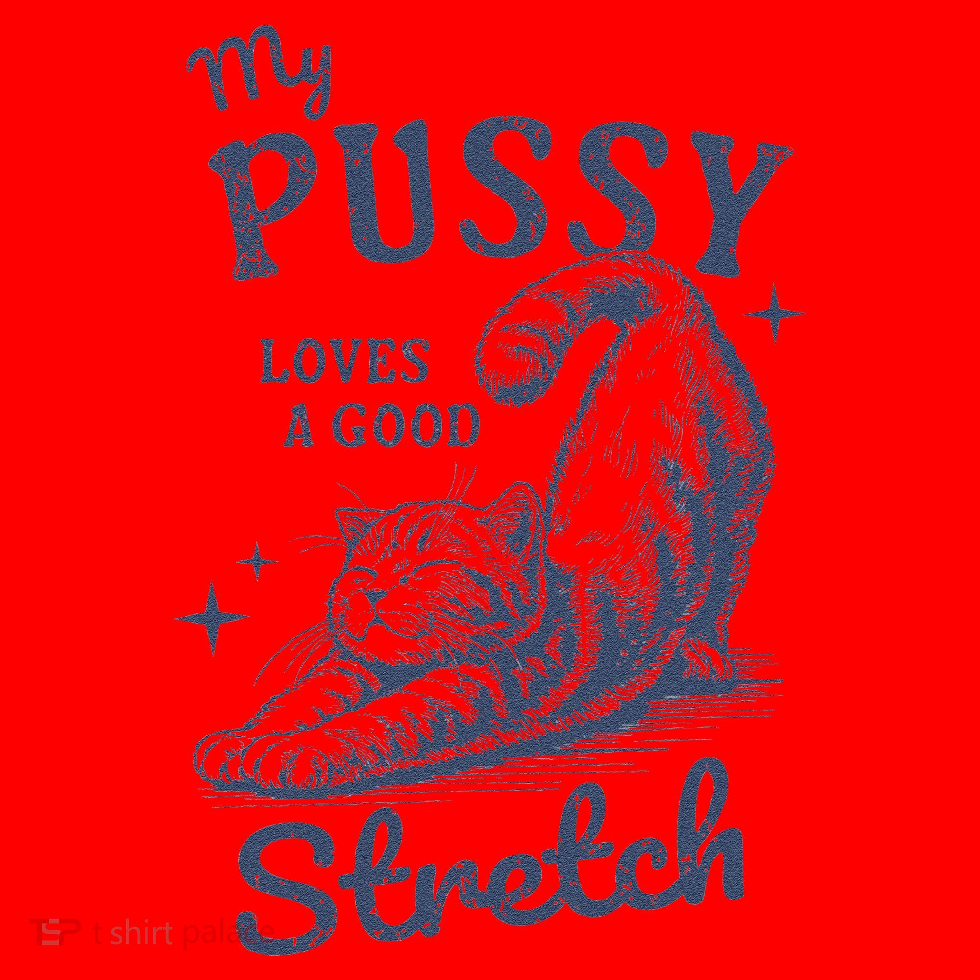 My Pussy Love A Good Stretch Funny Raunchy Cat Meme Santa Hat