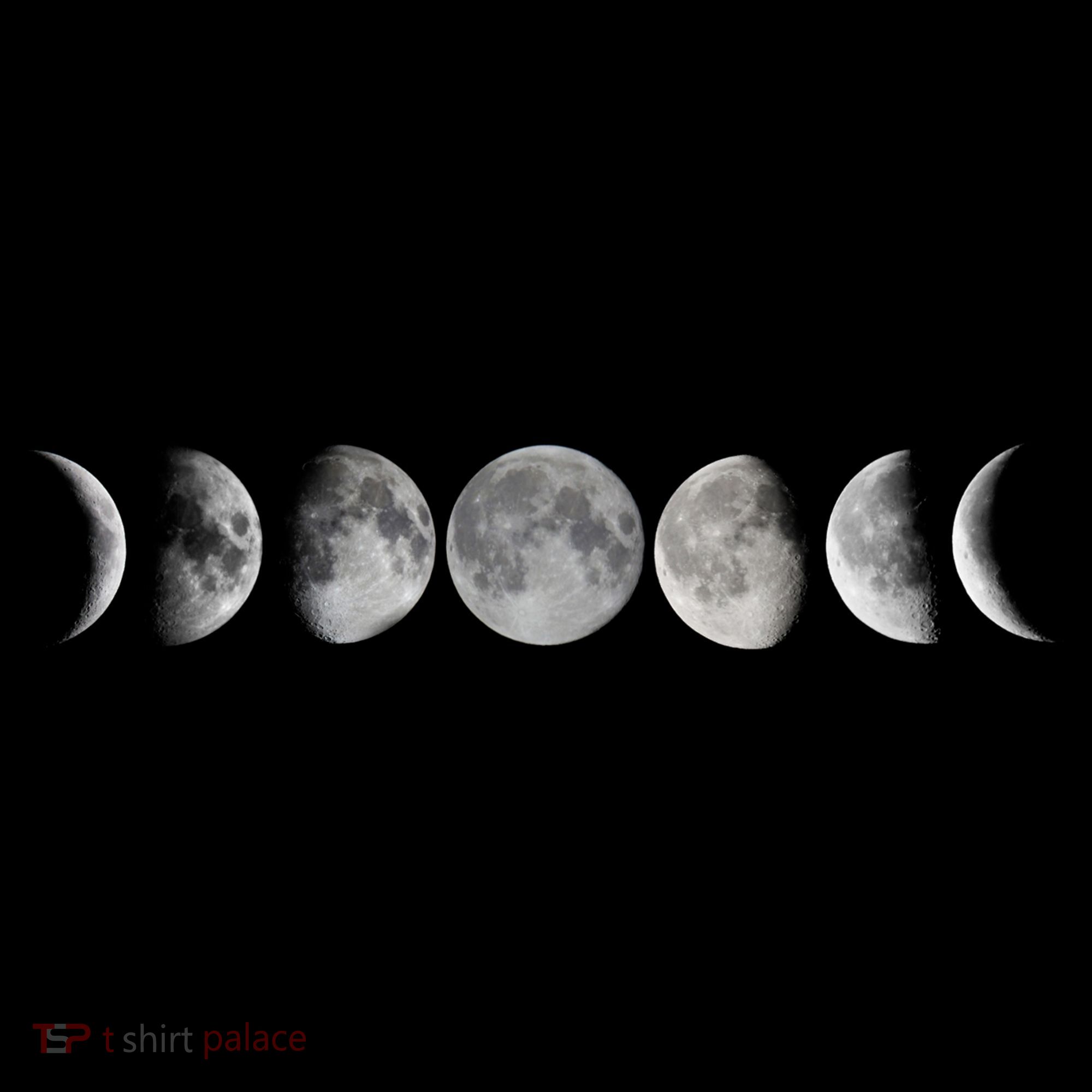 Moon Phases Doggie Tank