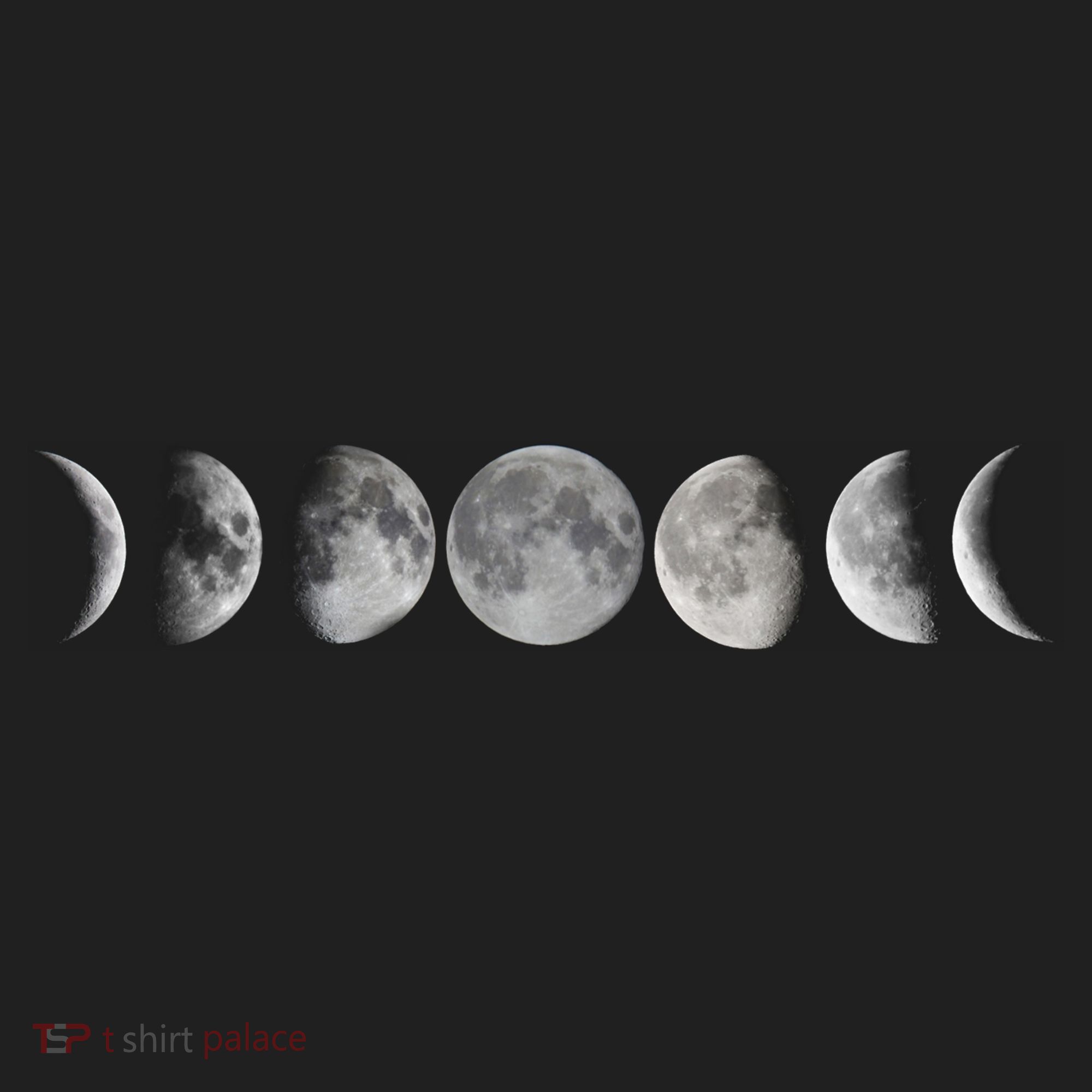 Moon Phases Tumbler