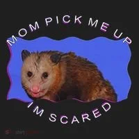 Mom Pick Me Up IM Scared Hat thumb 2