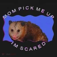 Mom Pick Me Up IM Scared Women's T-Shirt thumb 6
