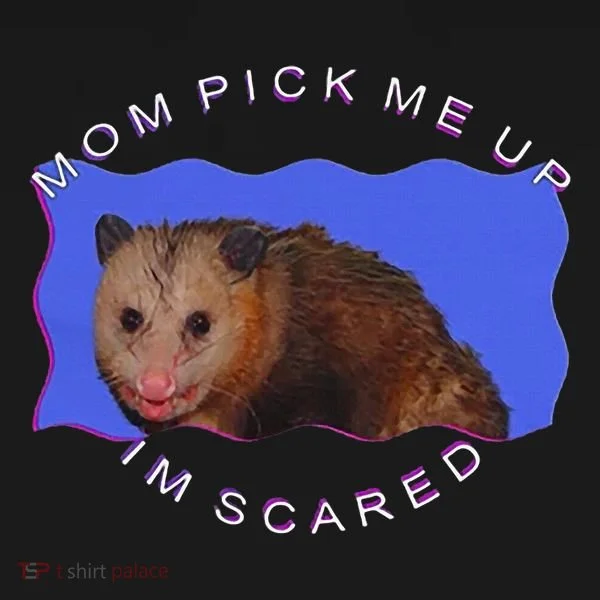 Mom Pick Me Up IM Scared Women's T-Shirt