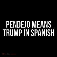 Mexican Protest Pendejo Means Trump In Spanish Ornament thumb 1