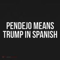 Mexican Protest Pendejo Means Trump In Spanish Baby Bodysuit thumb 2