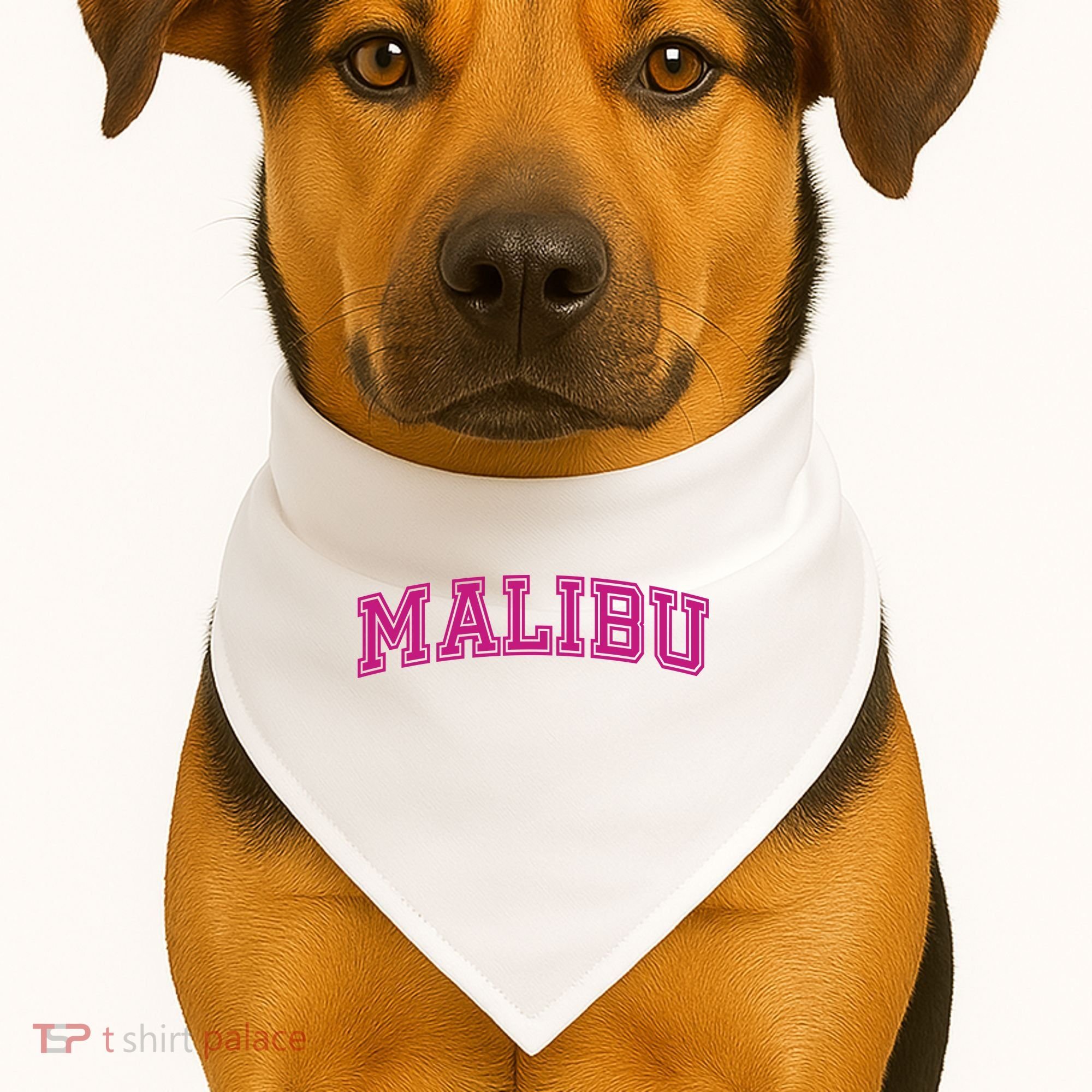Malibu Pink Retro USA-Made Doggie Bandana