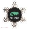 Multithreading Prodigy Suse Linux Software Programming Ornament