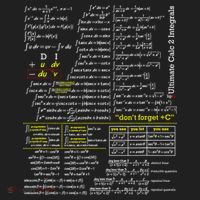 Mathematics Professor Student Ultimate Calculus 2 Integral Hat thumb 2