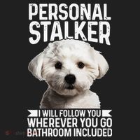 Maltese Personal Stalker Funny Cute Dog Maltese Mom Hat thumb 2