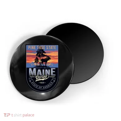 Magnet
