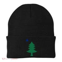 Maine Pine Tree State Flag Pride Patriotic Cool Gift Beanie thumb 0