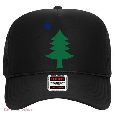 Maine Pine Tree State Flag Pride Patriotic Cool Gift Hat