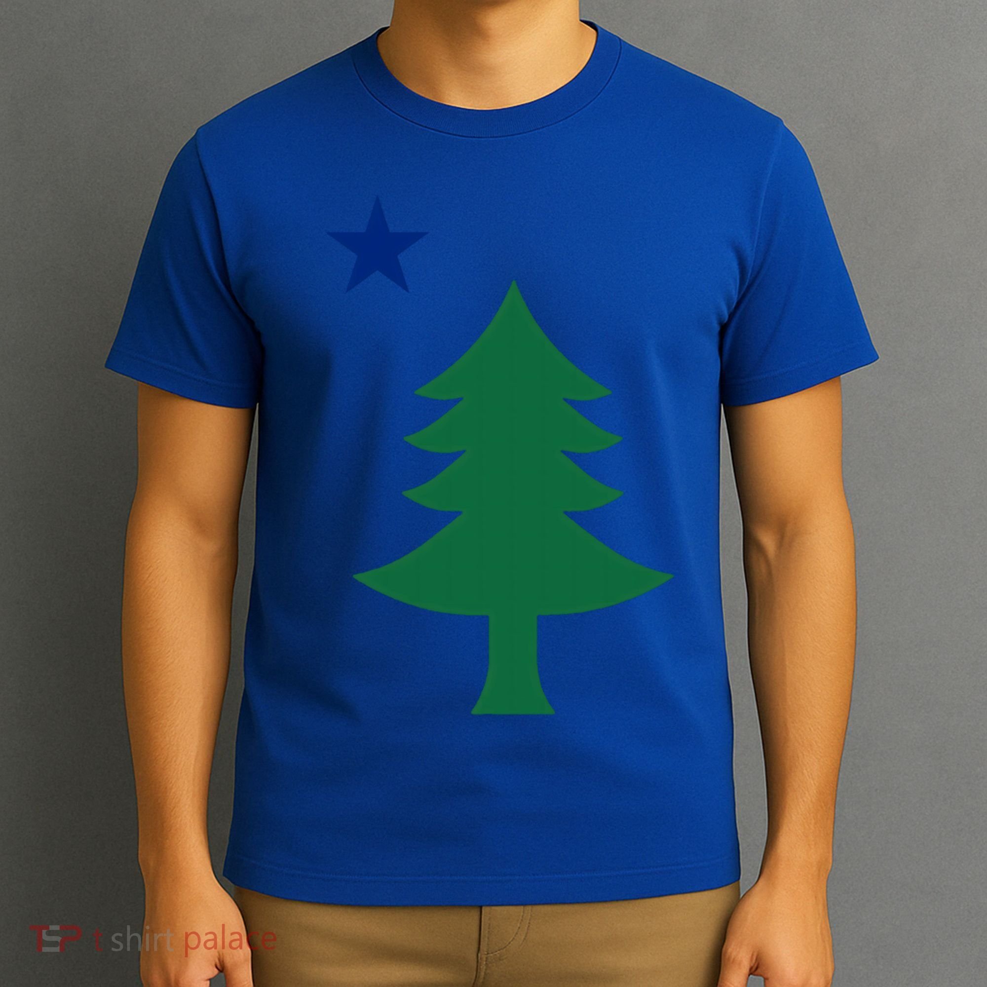 Maine Pine Tree State Flag Pride Patriotic Cool Gift T-Shirt