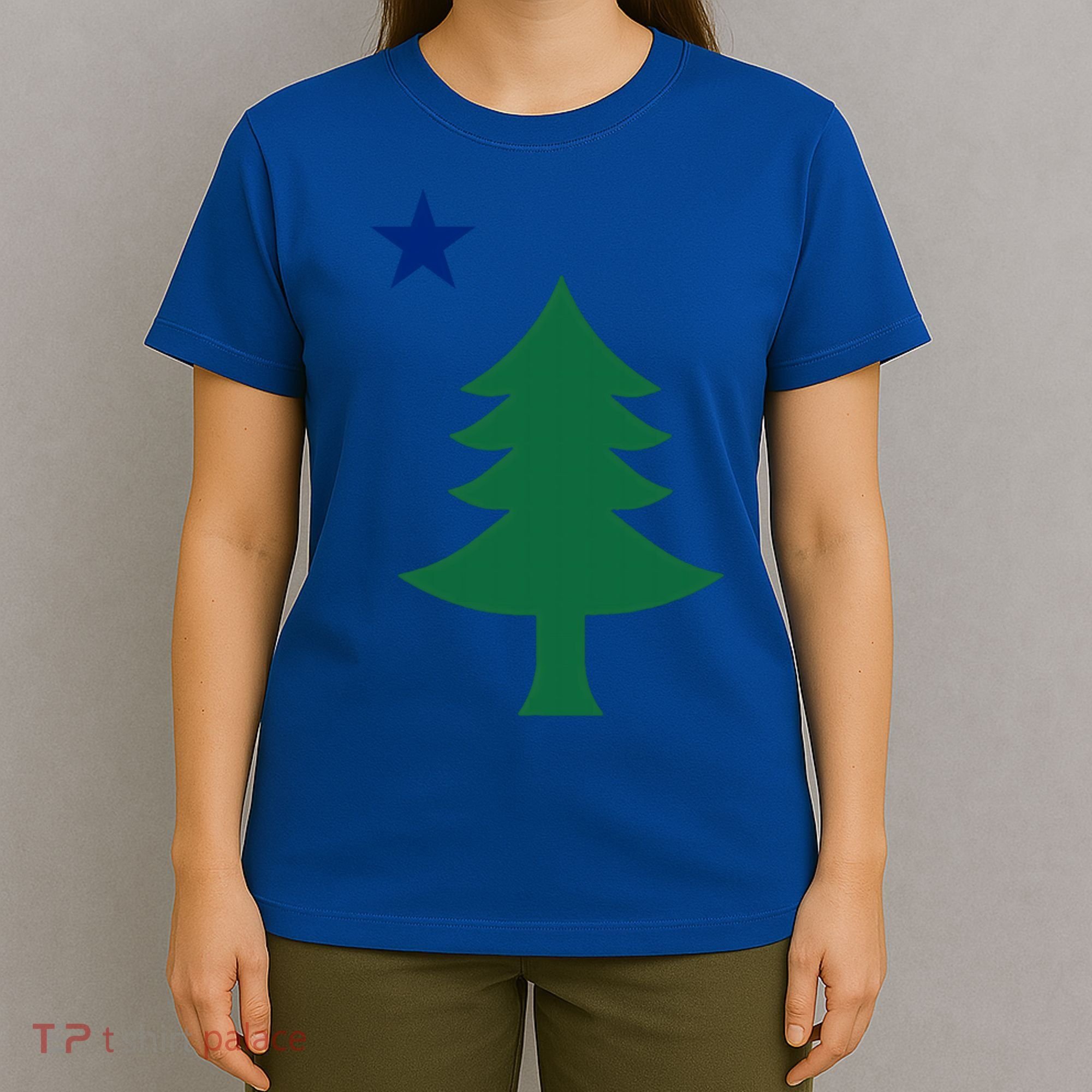 Maine Pine Tree State Flag Pride Patriotic Cool Gift T-Shirt