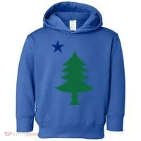 Maine Pine Tree State Flag Pride Patriotic Cool Gift Toddler Hoodie thumb 0