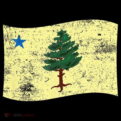 Maine Pine Tree Flag 1901 – First State Flag Stripe Pom Pom Beanie