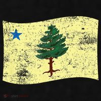 Maine Pine Tree Flag 1901 – First State Flag Ladies PosiCharge Tri-Blend Wicking Tank thumb 2