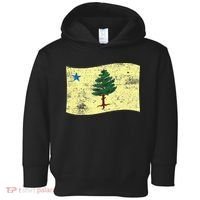 Maine Pine Tree Flag 1901 – First State Flag Toddler Hoodie thumb 0