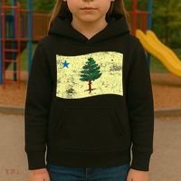 Maine Pine Tree Flag 1901 – First State Flag Kids Hoodie thumb 3