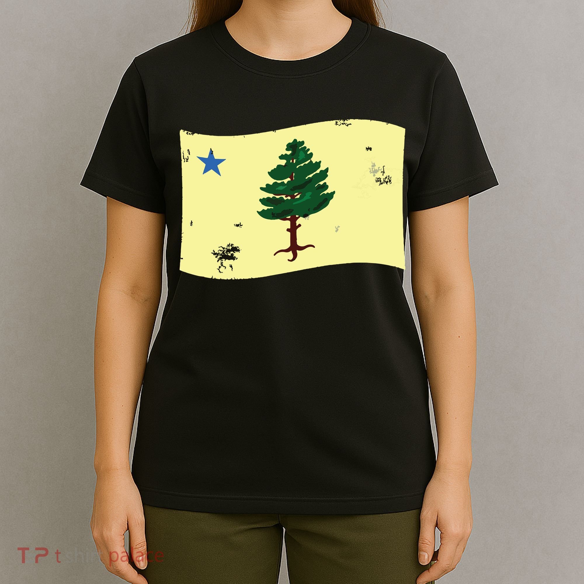 Maine Pine Tree Flag 1901 First State Flag T-Shirt