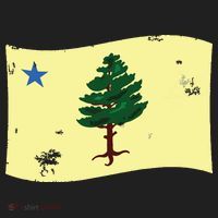 Maine Pine Tree Flag 1901 First State Flag Beanie thumb 2