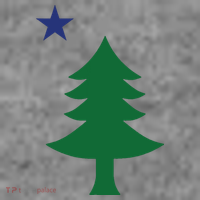 Maine Pine Tree State Flag Pride Patriotic Toddler Hoodie thumb 2