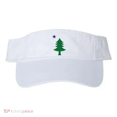 Visor