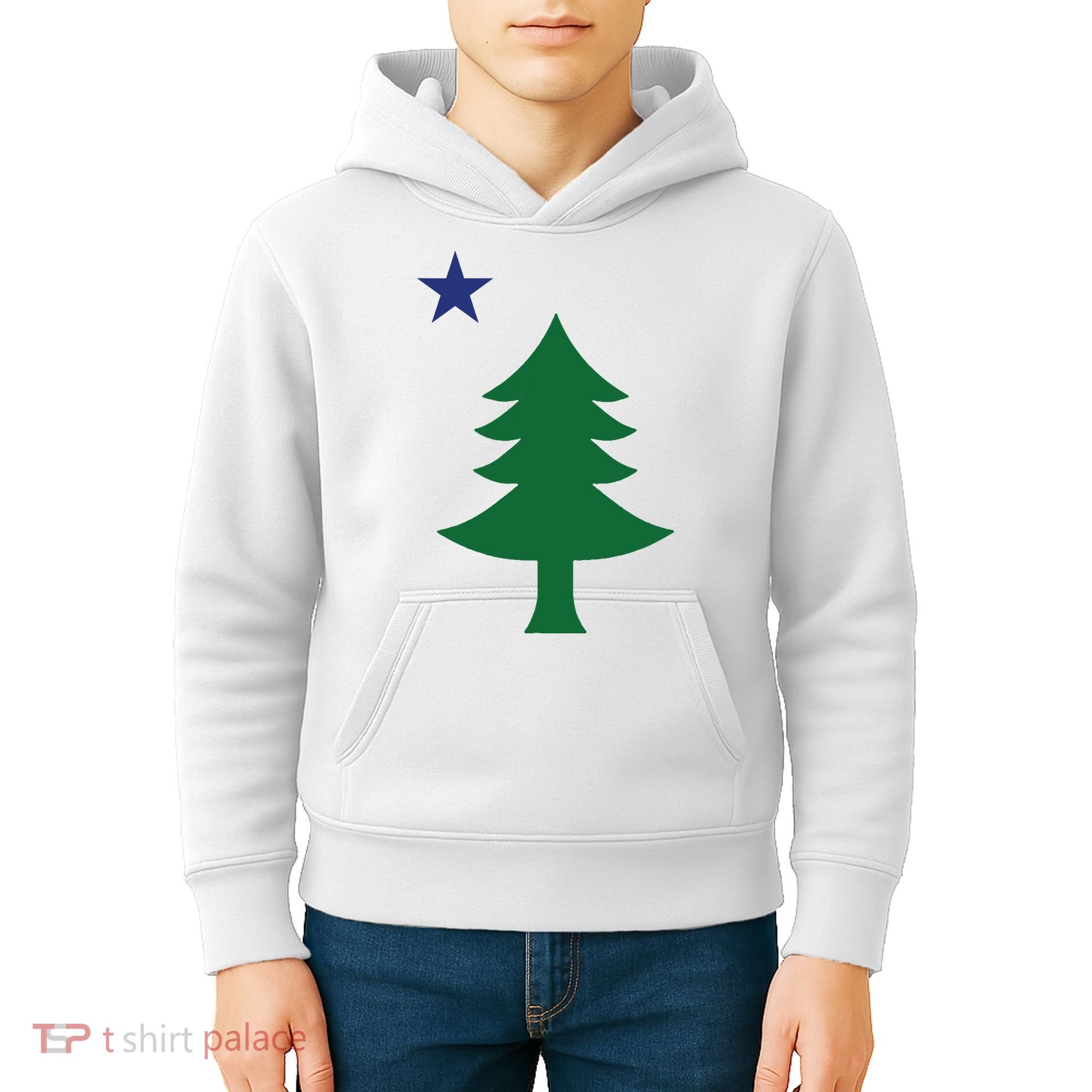Maine Pine Tree State Flag Pride Patriotic Kids Hoodie