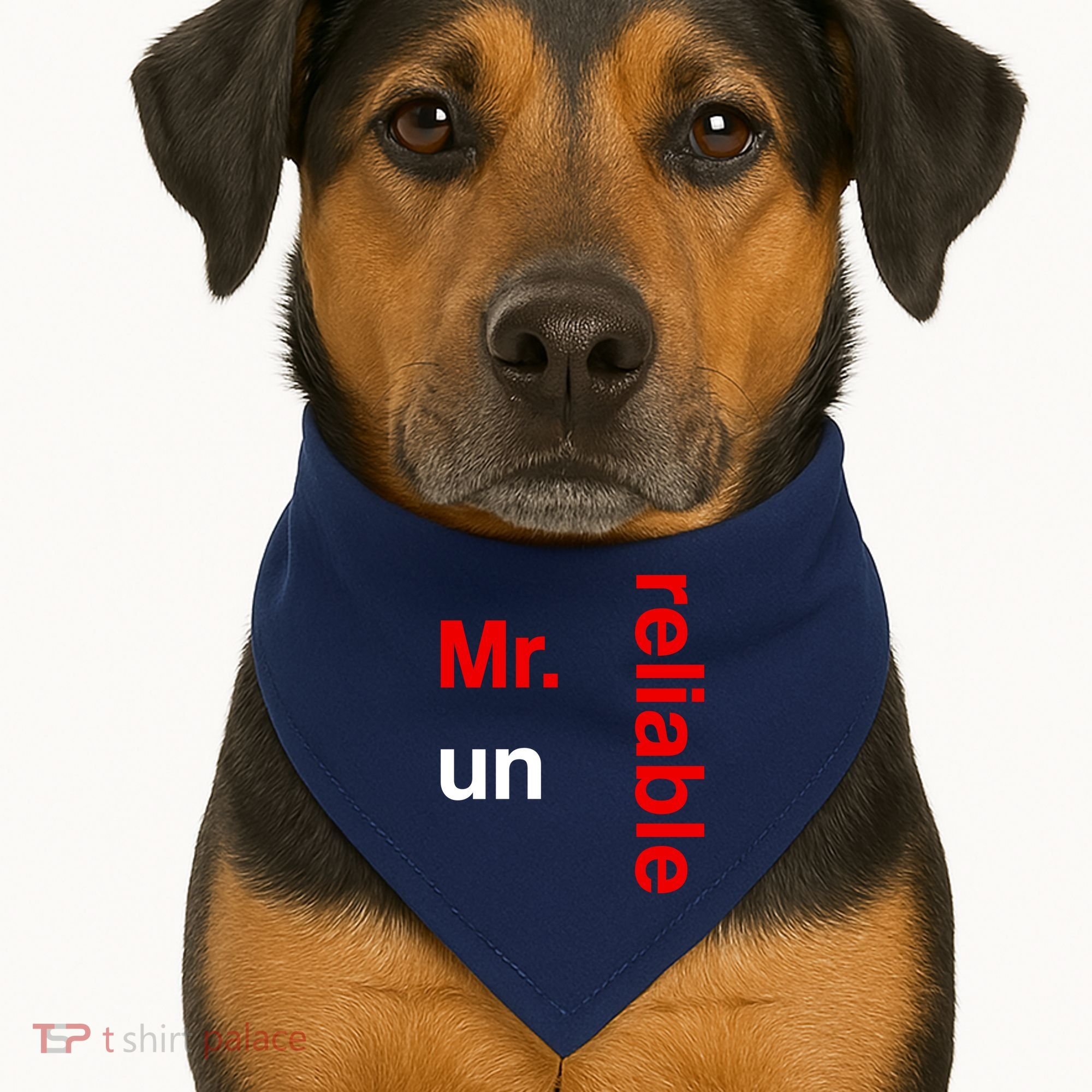 Mr. Unreliable Oklahoma Basketball USA-Made Doggie Bandana