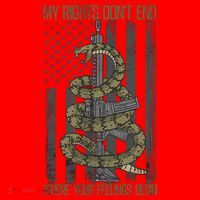 My Rights Don't End Where Your Feelings Begin Santa Hat thumb 1