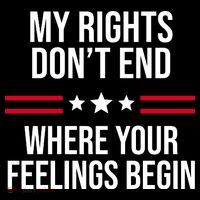 My Rights Don't End Where Your Feelings Begin Ornament thumb 1