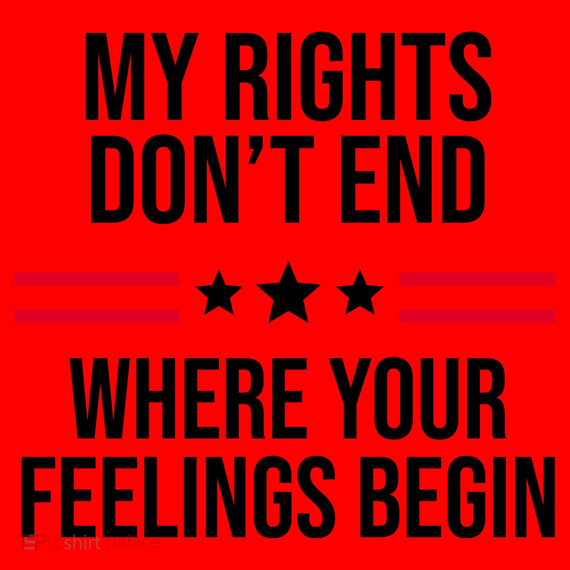 My Rights Don't End Where Your Feelings Begin Santa Hat