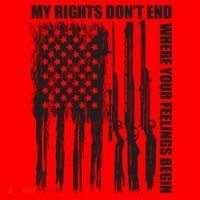 My Rights Don't End Where Your Feelings Begin Santa Hat thumb 1