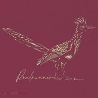 Minimalist Roadrunner Lover Distressed 16oz Travel Tumbler thumb 2