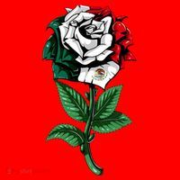 Mexican Rose Mexico Pride Santa Hat thumb 1