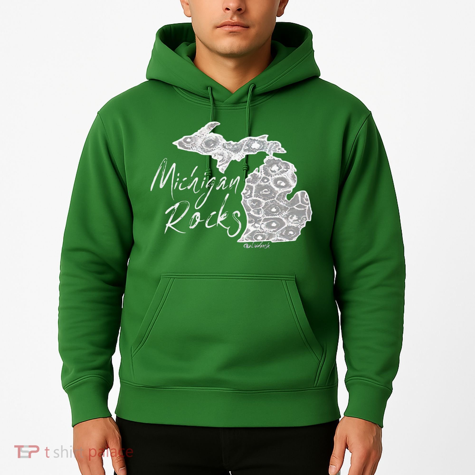 MICHIGAN ROCKS PETOSKEY STONE Hoodie