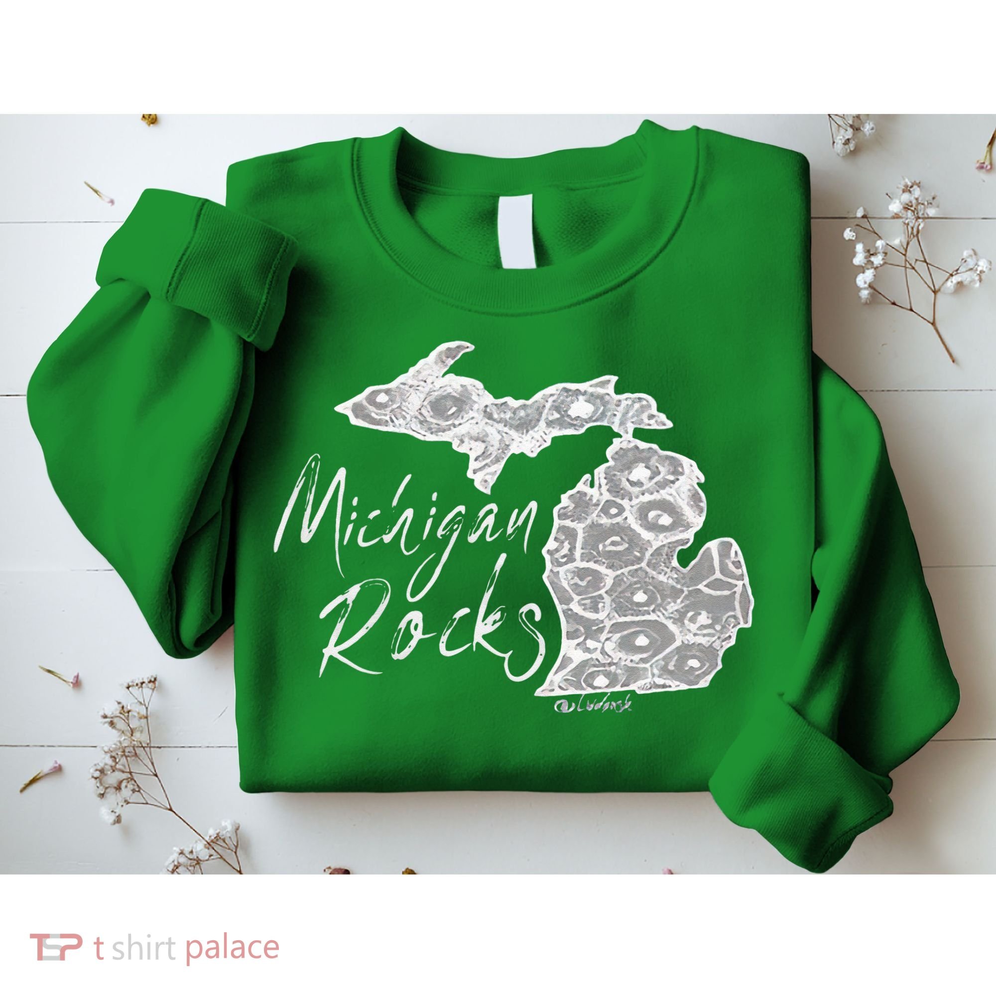 MICHIGAN ROCKS PETOSKEY STONE Sweatshirt