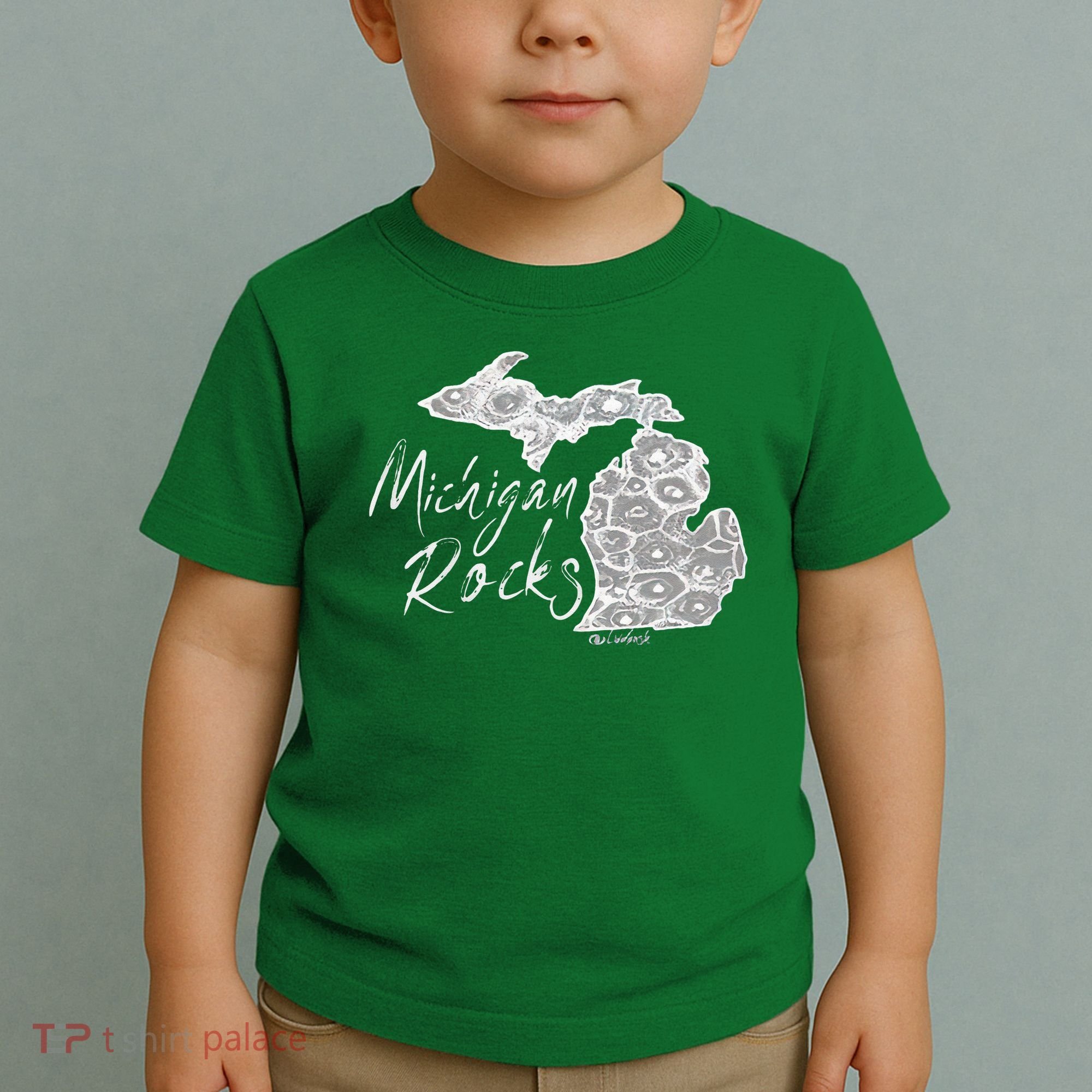 MICHIGAN ROCKS PETOSKEY STONE Toddler T-Shirt