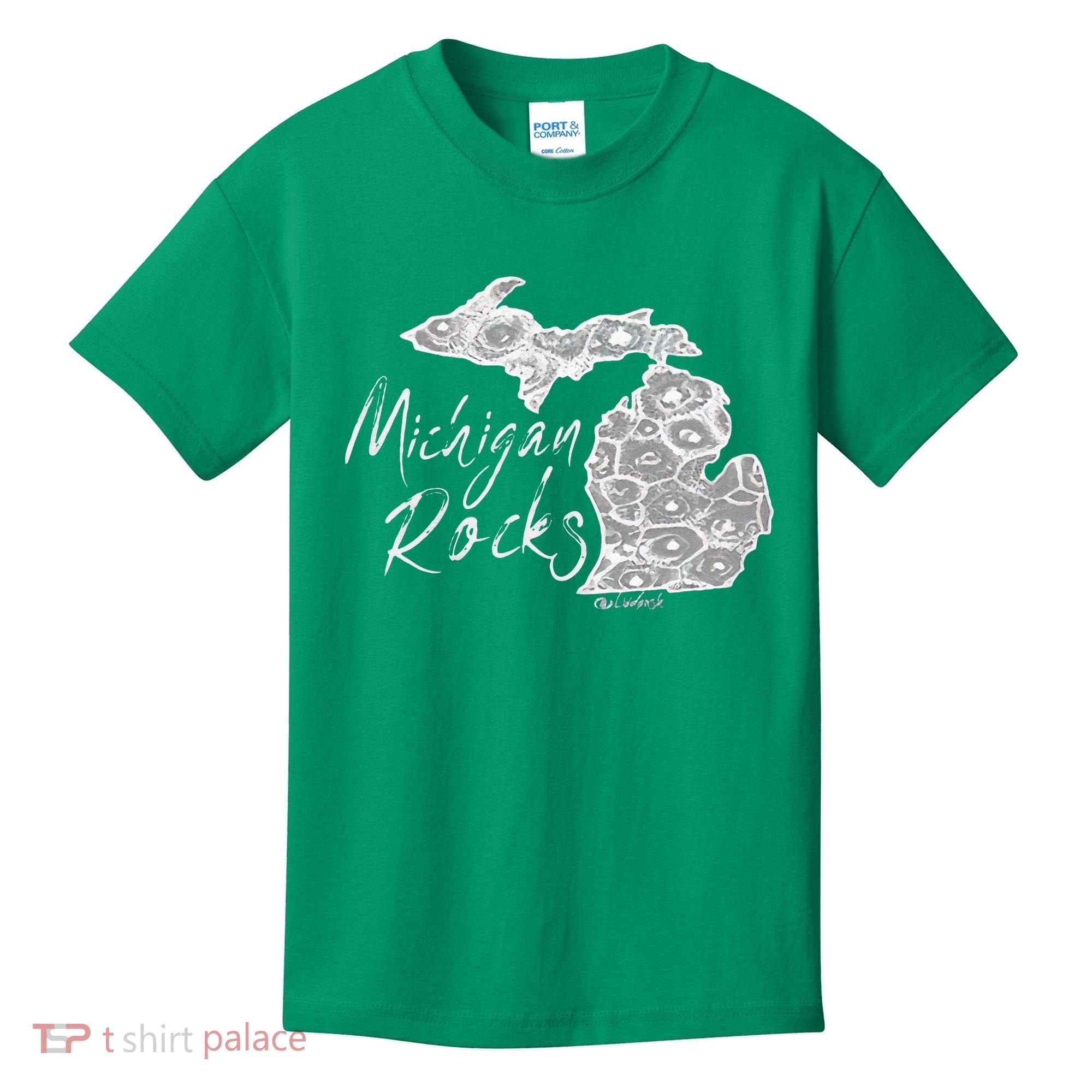 MICHIGAN ROCKS PETOSKEY STONE Kids T-Shirt