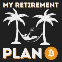 My Retirement Plan B Crypto Btc Trader Bitcoin Investor Hat thumb 2