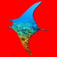 Manta Ray Silhouette Earth Day And Ocean Week Gift Santa Hat thumb 1