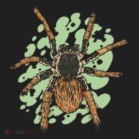 Megaphobema Robustum Tarantula Spider Tumbler thumb 3