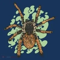 Megaphobema Robustum Tarantula Spider Bucket Hat thumb 4