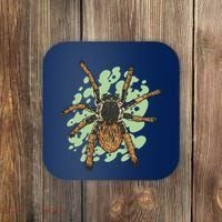 Megaphobema Robustum Tarantula Spider Coaster thumb 0