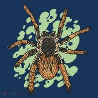 Megaphobema Robustum Tarantula Spider Mousepad thumb 1