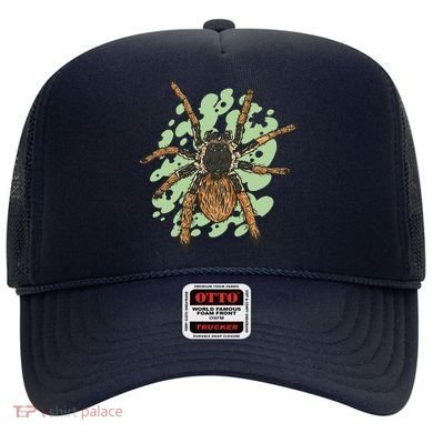 Megaphobema Robustum Tarantula Spider Hat